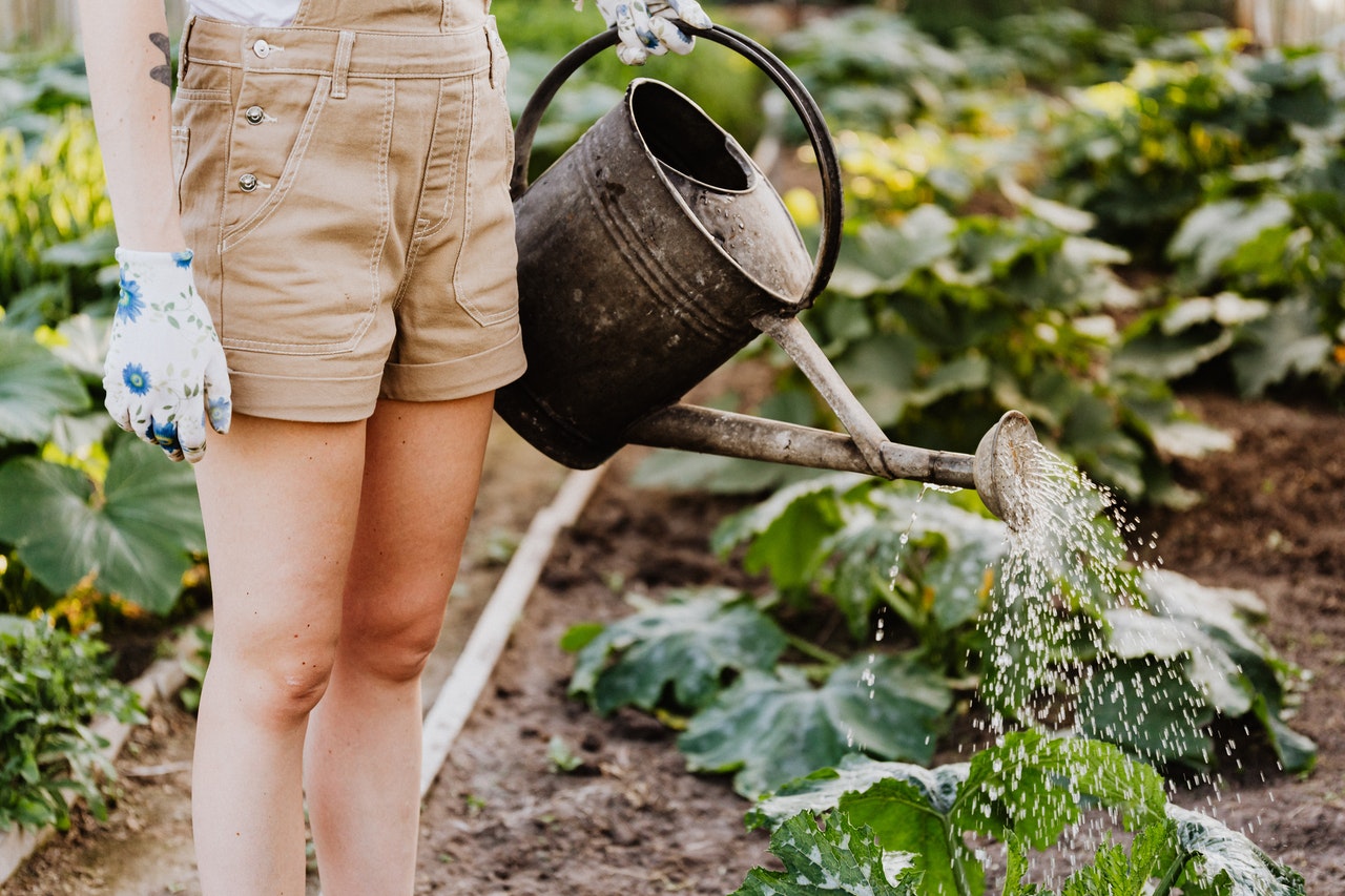 Wigginton Gardeners Association